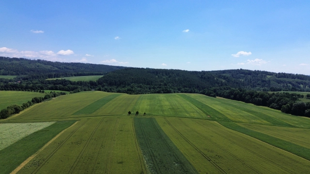 Aktuality - Předžňová příprava